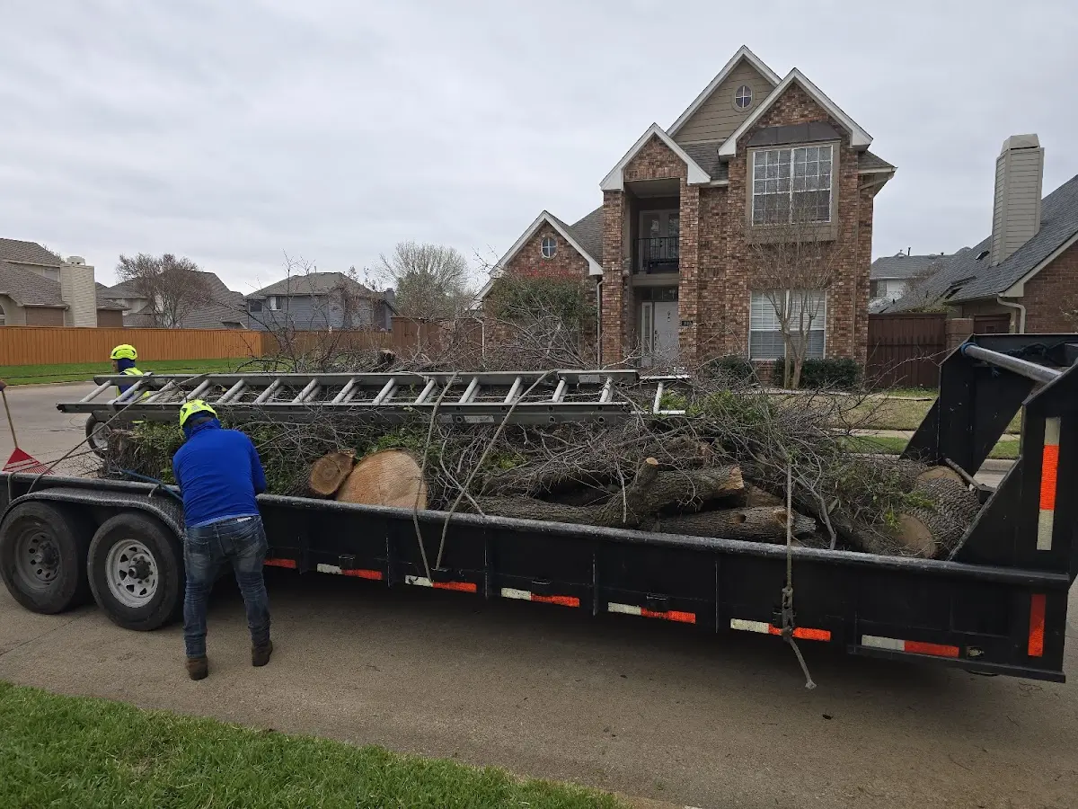 Expert Tree Removal with proper safety equipment in Ridgedale